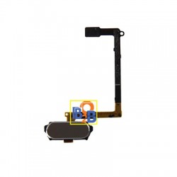 Home Button Flex Cable with Fingerprint Identification Replacement for Samsung Galaxy S6 / G920F (Gold)