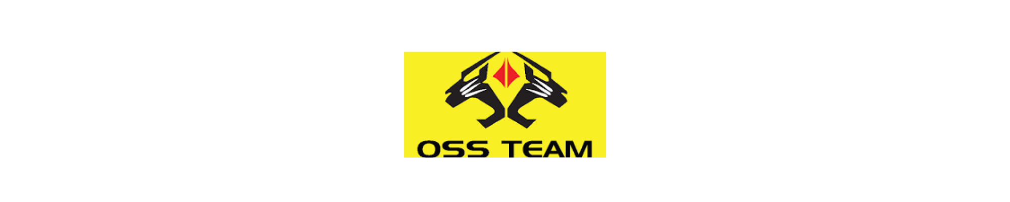 OSS TEAM