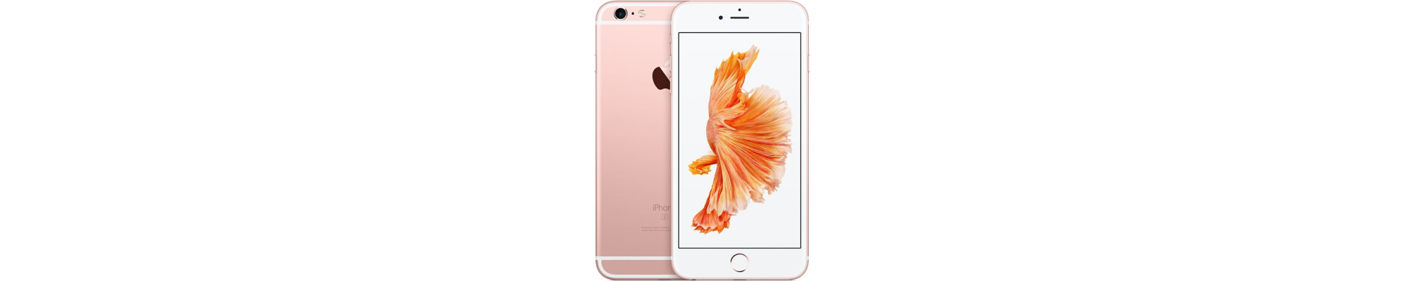 iPhone 6 Plus