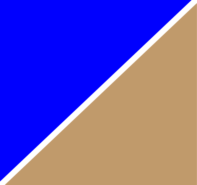 Blue Camel