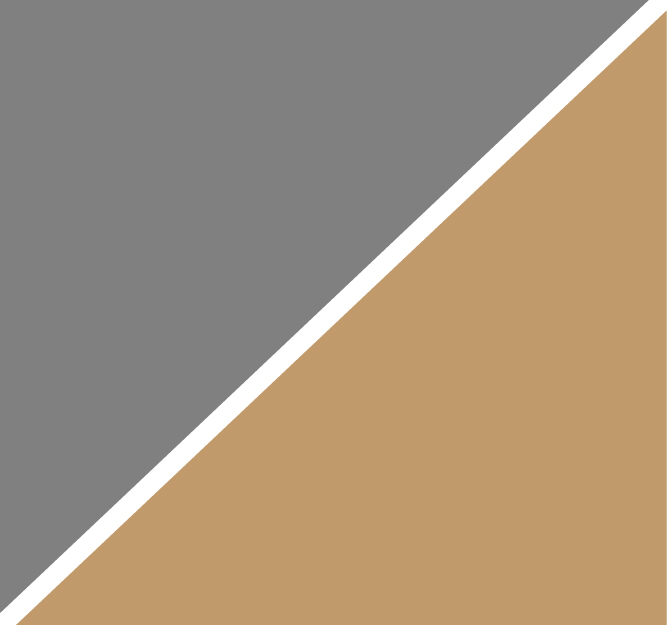 Grey Camel