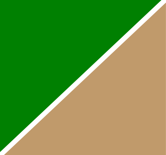 Green Camel