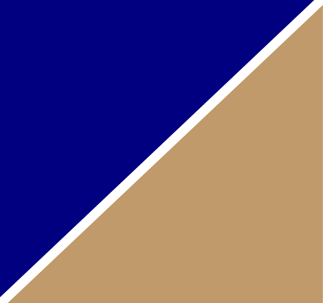 Navy Camel