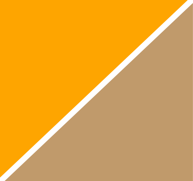 Orange Camel
